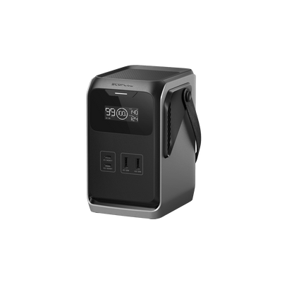 EcoFlow TRAIL 300 DC (288Wh)