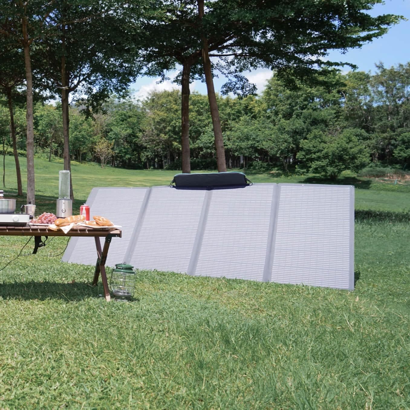 EcoFlow 400W Portable Solar Panel view 5